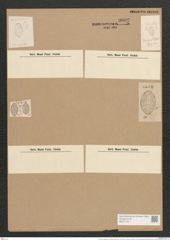 Cocconeis scutelllum var. distans (Greg.) Grun. (de-Toni-Nr.: Genus 40, Species 1812) Zeichnungen Sammlung Grunow Nr. 3602 (NHMW-BOT-W0371197)